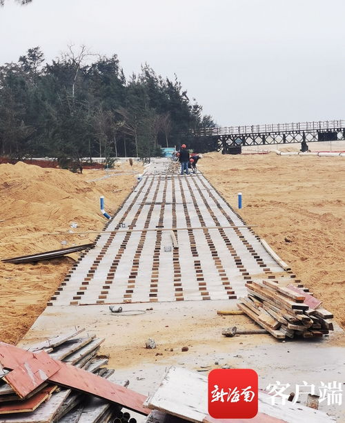 原創(chuàng)組圖 ?？谖骱０敦炌ǜ鹿こ套钚逻M(jìn)展 國際會(huì)展中心附近沿海新建路完成瀝青路面鋪設(shè)